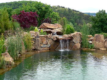 Vodní plocha jezírka s vodními rostlinami. Ve vzdálené části leží prameniště s kaskádou kamenů tvořící vodopády.
