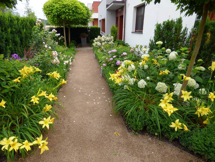 Rovná pěšinka lemovaná záhony souběžně s plotem a domem zajišťuje přístup do zahrady.
