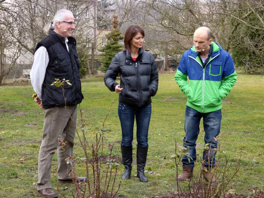 Jiří Prouza se sourozenci Gondíkovými při natáčení pořadu Rady ptáka Loskutáka Jiří Prouza, Adéla Gondíková a Dalibor Gondík stojí na zahradě za dvěma růžemi při natáčení jednoho z dílů Rady ptáka Loskutáka.