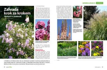 Ukázka první dvoustrany seriálu Zahrada krok za krokem, díl Trvalky v zahradě