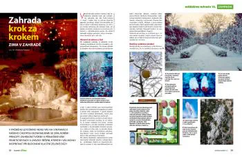 Ukázka první dvoustrany seriálu Zahrada krok za krokem, díl Zima v zahradě