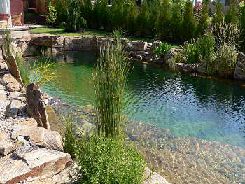 Jezírko s průzračnou vodou dominuje prostoru za domem.