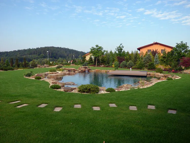 Po realizaci Zatravněná zahrada s koupacím jezírkem s okrasnou, mělkou zónou. Přirozená bariéra ve formě výsatby ve vzdáleném koutu zahrady kryje pohled od sousedů.