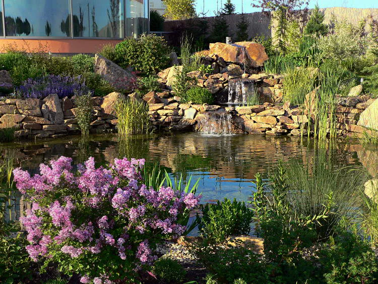 Jezírko schované v záplavě vodní i suchozemské květeny. Přes vodu, naproti fotografovi, je prameniště z nerezové trubky a kaskáda dvou lagun s vodopády. Na jezírko je výhled z domu v levé části snímku.