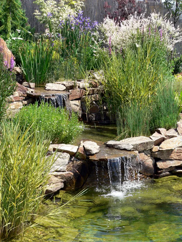 Kolem vody je v létě bujná zeleň