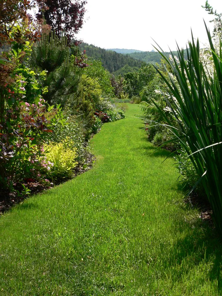 Zelená cesta do zahrady je lemována pestrou zelení