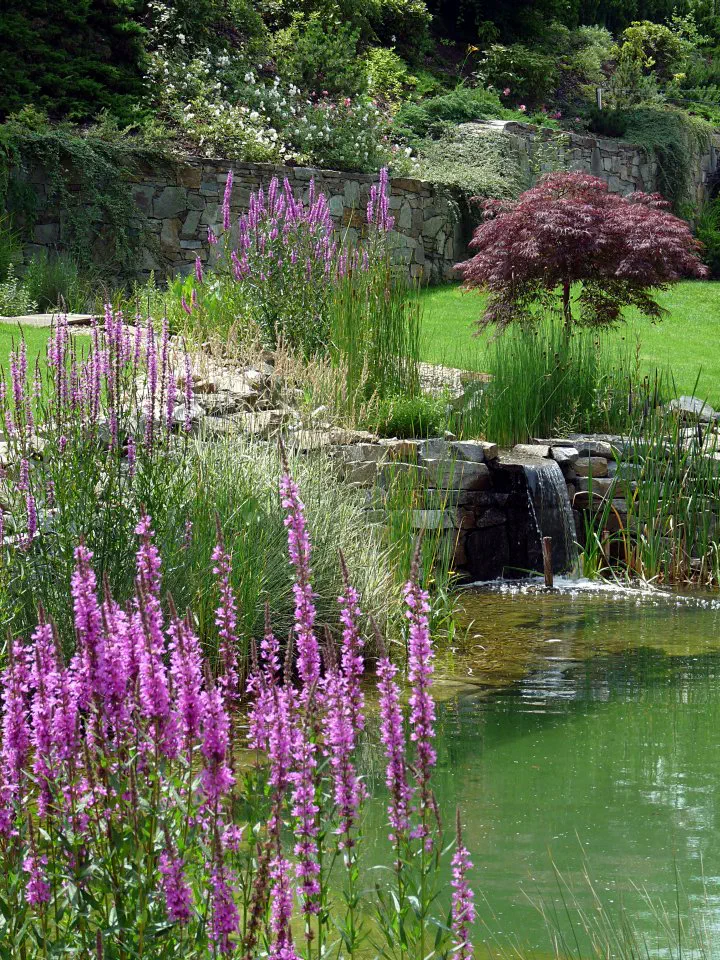 Pohled přes jezírko a vodopád do zahrady