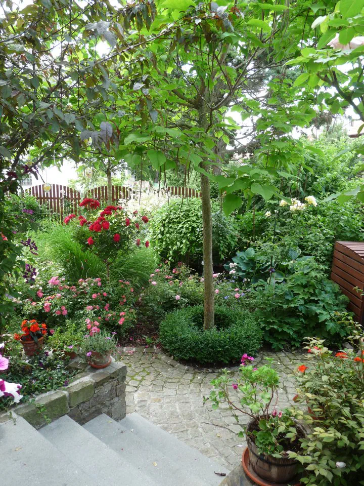 Zelený baldachýn dává stín u vchodu do domu