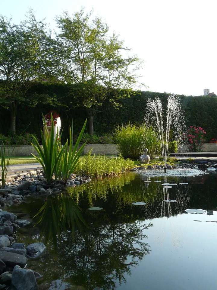 Okrasné jezírko s vodotryskem u terasy