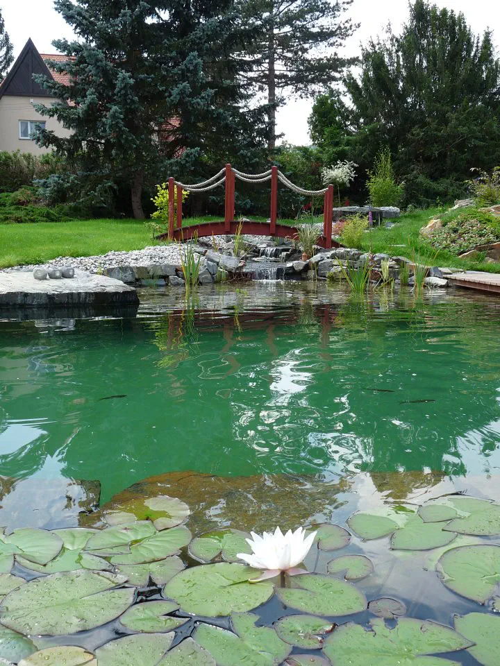 Dřevěný most nad potokem ústícím do jezírka