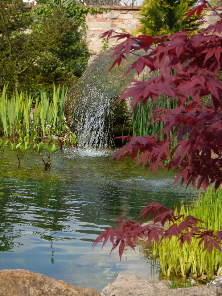 Prameniště tvoří větší kámen utopený v zeleni