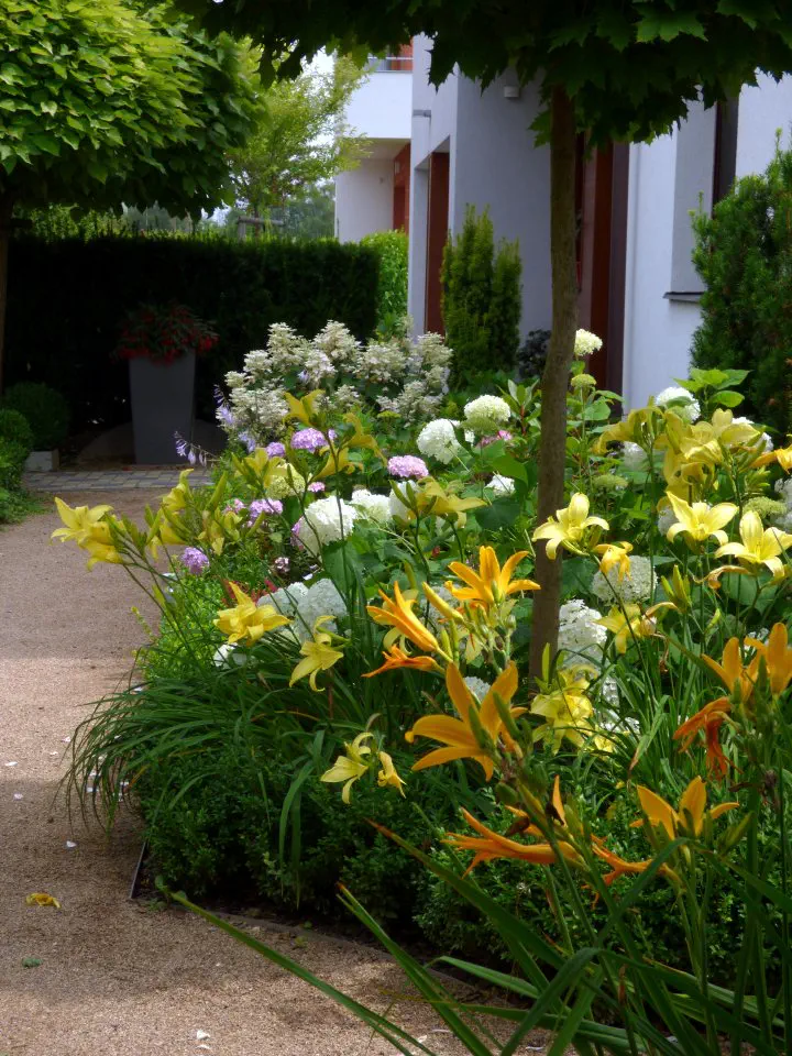 Kvetoucí smíšený záhon neustále mění svou podobu