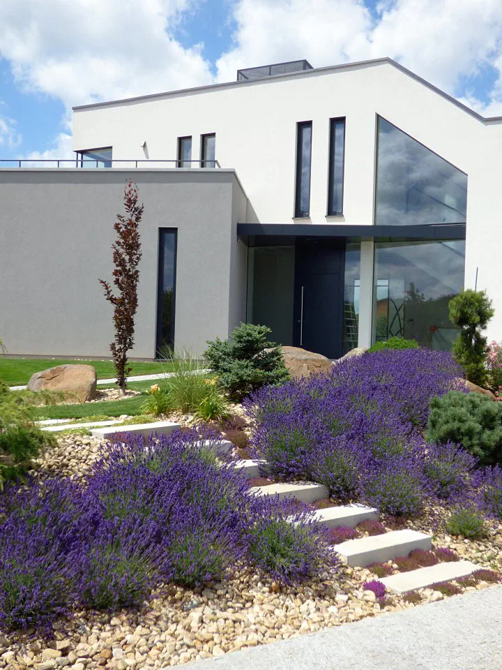 Moderní aranžmá s levandulí na svahu