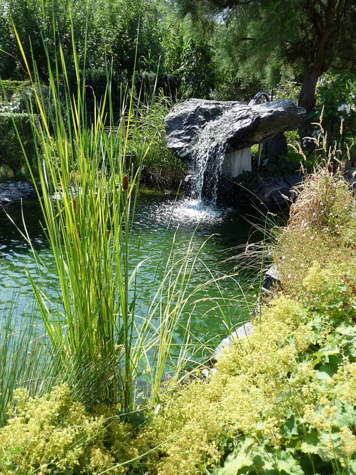 Malé jezírko s kamenem - pramenem na vyvýšené noze