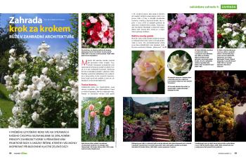 Ukázka první dvoustrany seriálu Zahrada krok za krokem, díl Růže v zahradní architektuře